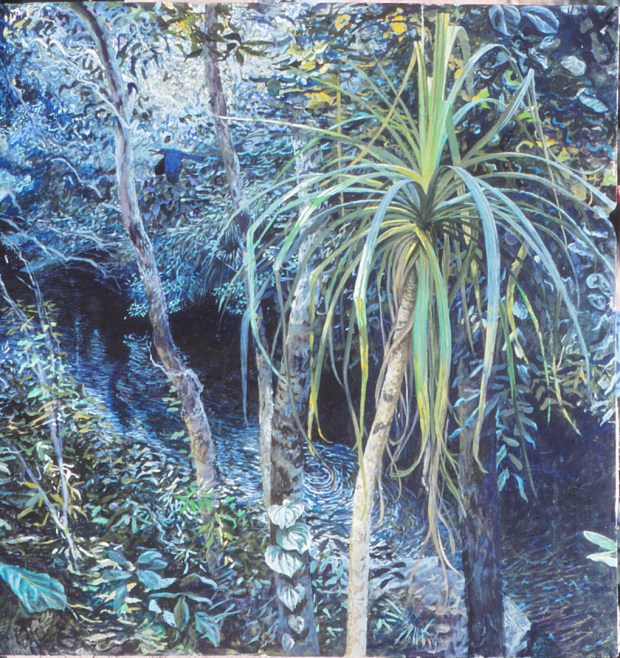 Black Butcherbird 2 fixed