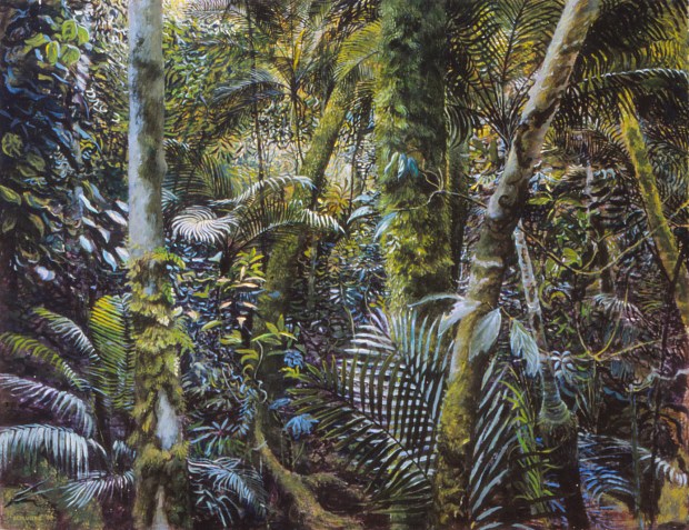 Finnigan Cloud Forest 2 fixed