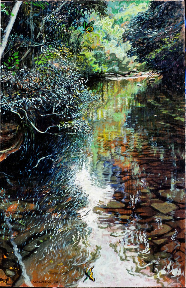 Little Forks Birdwing