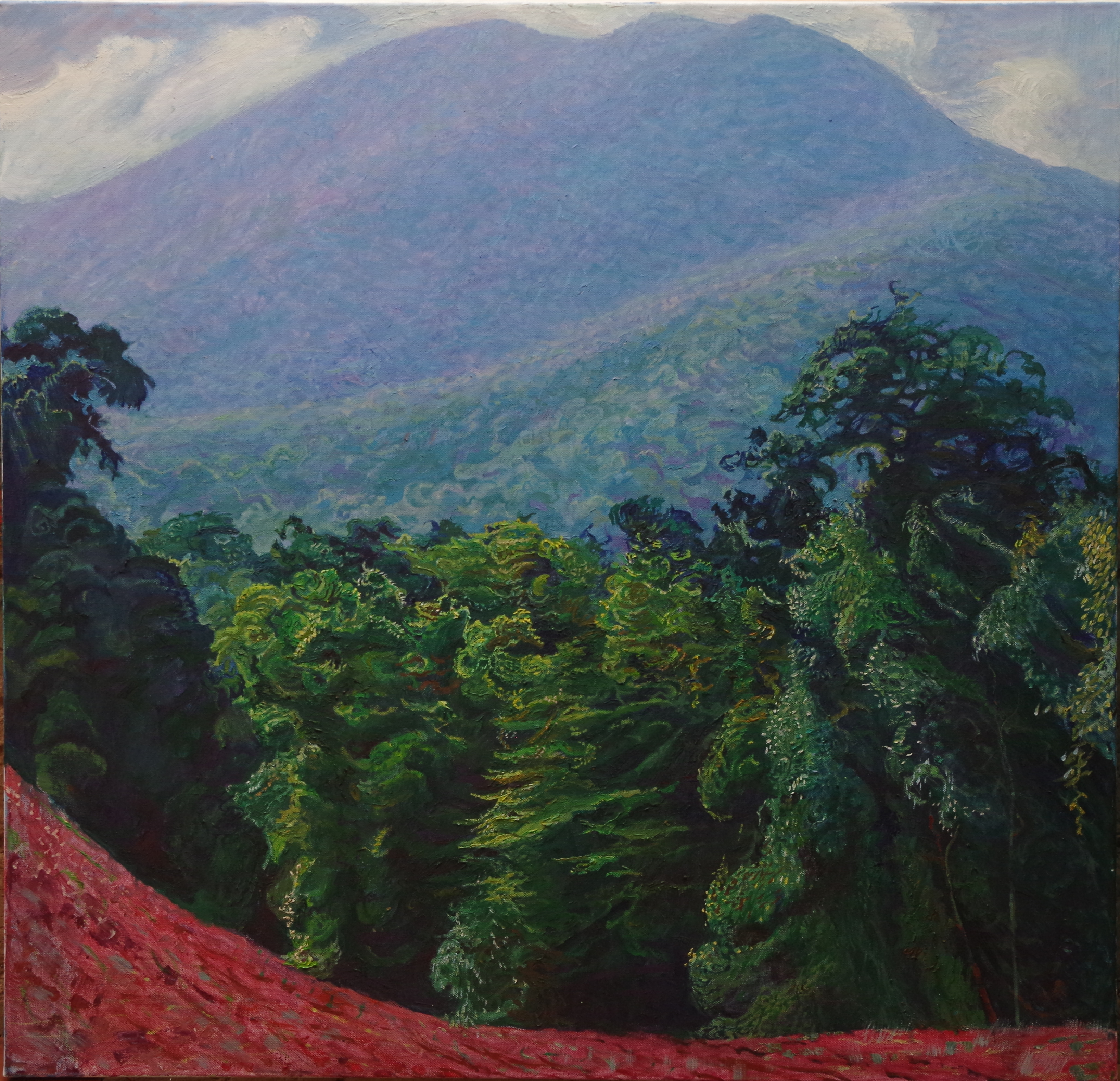 Mt Finnigan and Guinea Paddock