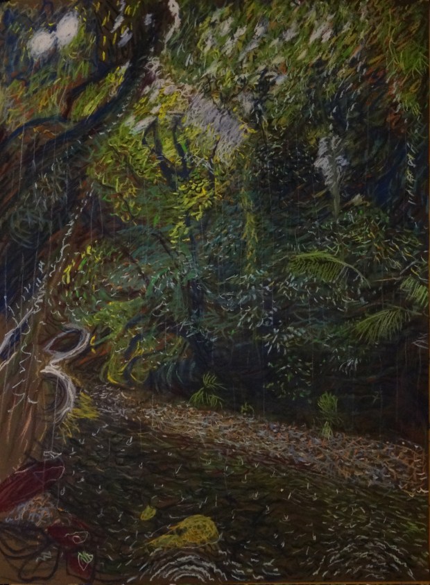 Oliver Creek downpour